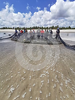 Fishermen taking net and fish from the sea at Lucena beach, ParaÃÂ­ba, Brazil