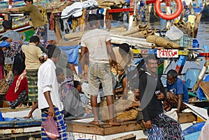 Fishermen unload catch of the day, Al Hudaydah, Yemen.