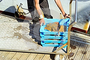 Fishermen unload catch of fish, port Blanes. Spain