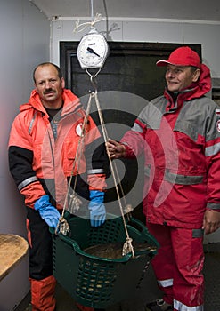 Fishermen weighing catch photo