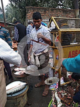 Fishermen weighing fish for sale . Fish market . Festival season .