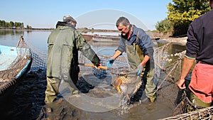 Fishermen at Work photo