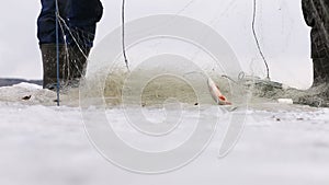 Fishermens pull fish out of the hole in a frozen pond.