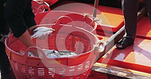 fishers unloading fish from large coolers installed in the fishing boat into two plastic baskets with nets,