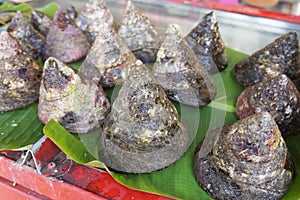 fishery fisheries seafood local food thai local food salted shrimp food preservation shrimp03