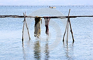 Fishery industry in Lago di Varano, Italy