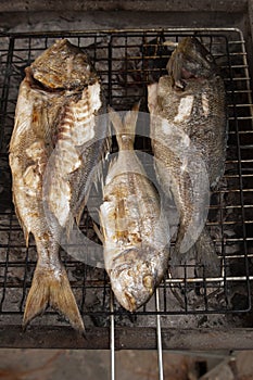 Fishes on bbq