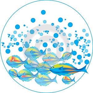 Fishes & blue bubbles