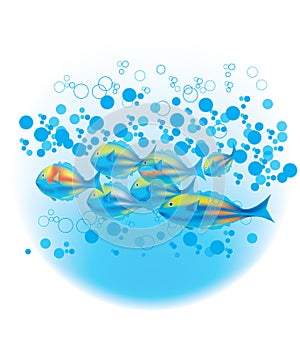 Fishes & blue bubbles