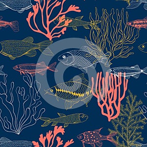 Fishes and corals pattern hand drawn illustration