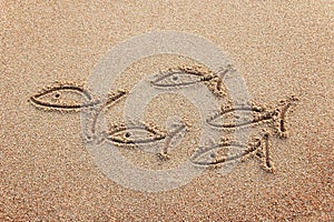 Fishes drawn on a beach sand