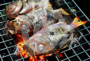 Fishes grill on the charcoal .