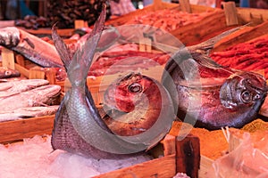 Fishes in ice for sale in Mercato il Capo street market in Palermo