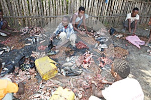 Fishes at the open fish market