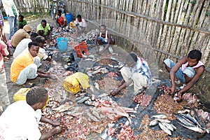 Fishes at the open fish market