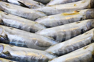 Fishes on sale, close up