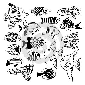 Fishes set hand drawn vector illustration. Sea and ocean inhabitants doodle collection. Various wild fishes drawing. Use for