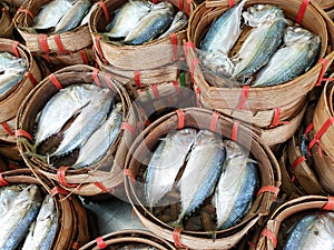 Fishes in small basket at the market. Mackerel