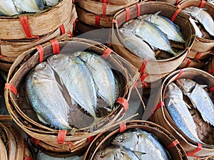 Fishes in small basket at the market. Mackerel