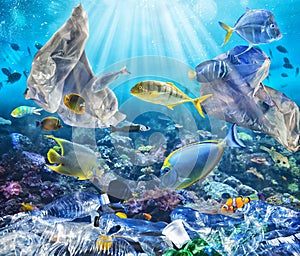 Fishes swims with floating bags. Problem of plastic pollution under the sea concept. photo