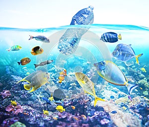 Fishes watch a floating bottle. Problem of plastic pollution under the sea concept.