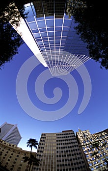 Fisheye Buildings photo