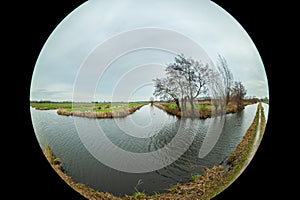 Fisheye image of trees in the Dutch polder landscape