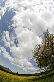 Fisheye view of cloudy sky