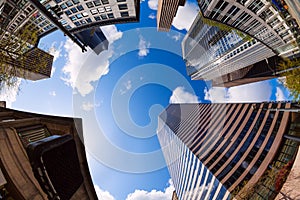 Fisheye view of skyscrapers in Seattle, USA