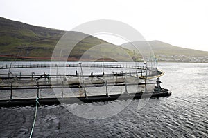 Fishfarming at the Faroe islands photo