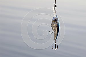 Fishhook on a lake