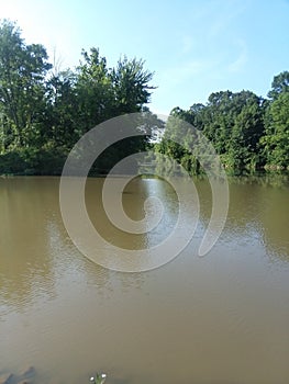 Fishin Day on the lake