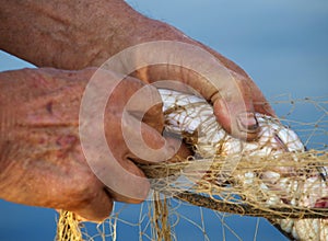 Fishing