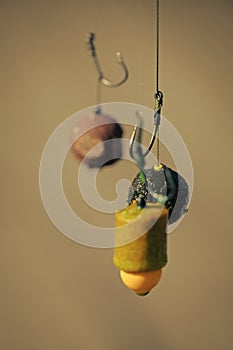 Fishing, angling. Fishhooks on line on blurred background