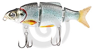 Fishing bait isolated