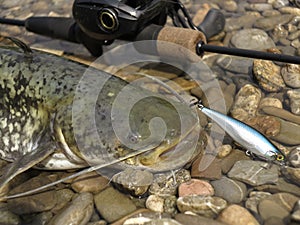 Fishing with baitcasting reel photo