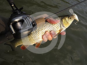 Fishing with baitcasting reel