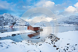 Fishing bay of Lofotens