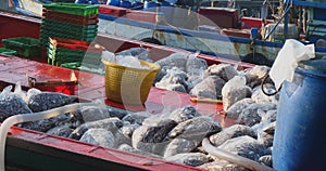 fishing boat arrives at the port, its deck loaded with fish-filled plastic bags.