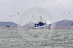 Fishing boat at the Bay of Islands New Zealand