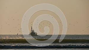 Fishing boat on the coast of Atlantic Ocean near Essaouira, Morocco, Africa chased by a large group of seagull birds.