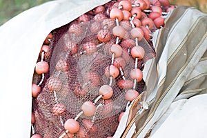 Fishing boat equipment detail: net, arts macro. Mediterranean sea