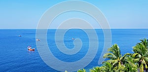 Fishing boat floating on the sea with clear blue sky and coconut or palm tree foreground