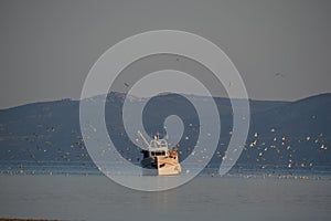Fishing boat full of catches