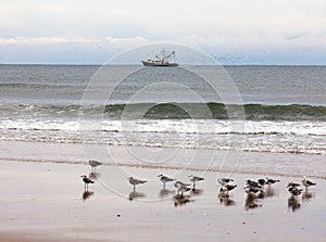 Fishing boat and gulls beach scene OBX NC US