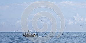 Fishing Boat with Gulls in ocean