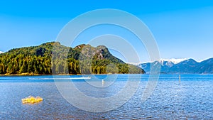 Fishing Boat heading into Pitt Lake with the Snow Capped Peaks of the Coast Mountain Range