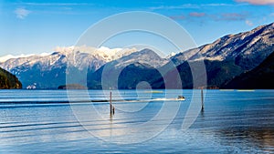 Fishing Boat heading up Pitt Lake with the Peaks of the Golden Ears, Tingle Peak and other Peaks in the Coast Mountain