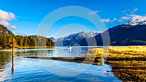 Fishing Boat heading up Pitt Lake with the Peaks of the Golden Ears, Tingle Peak and other Peaks in the Coast Mountain