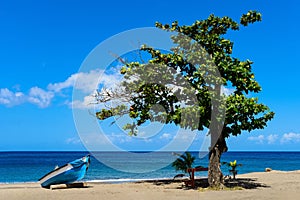 Fishing boat next to a tree on the beach